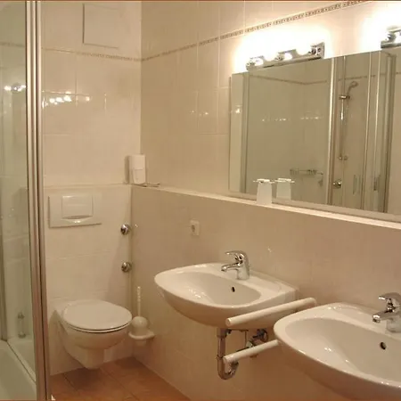 בית הארחה Gasthaus Gruner Baum 3*